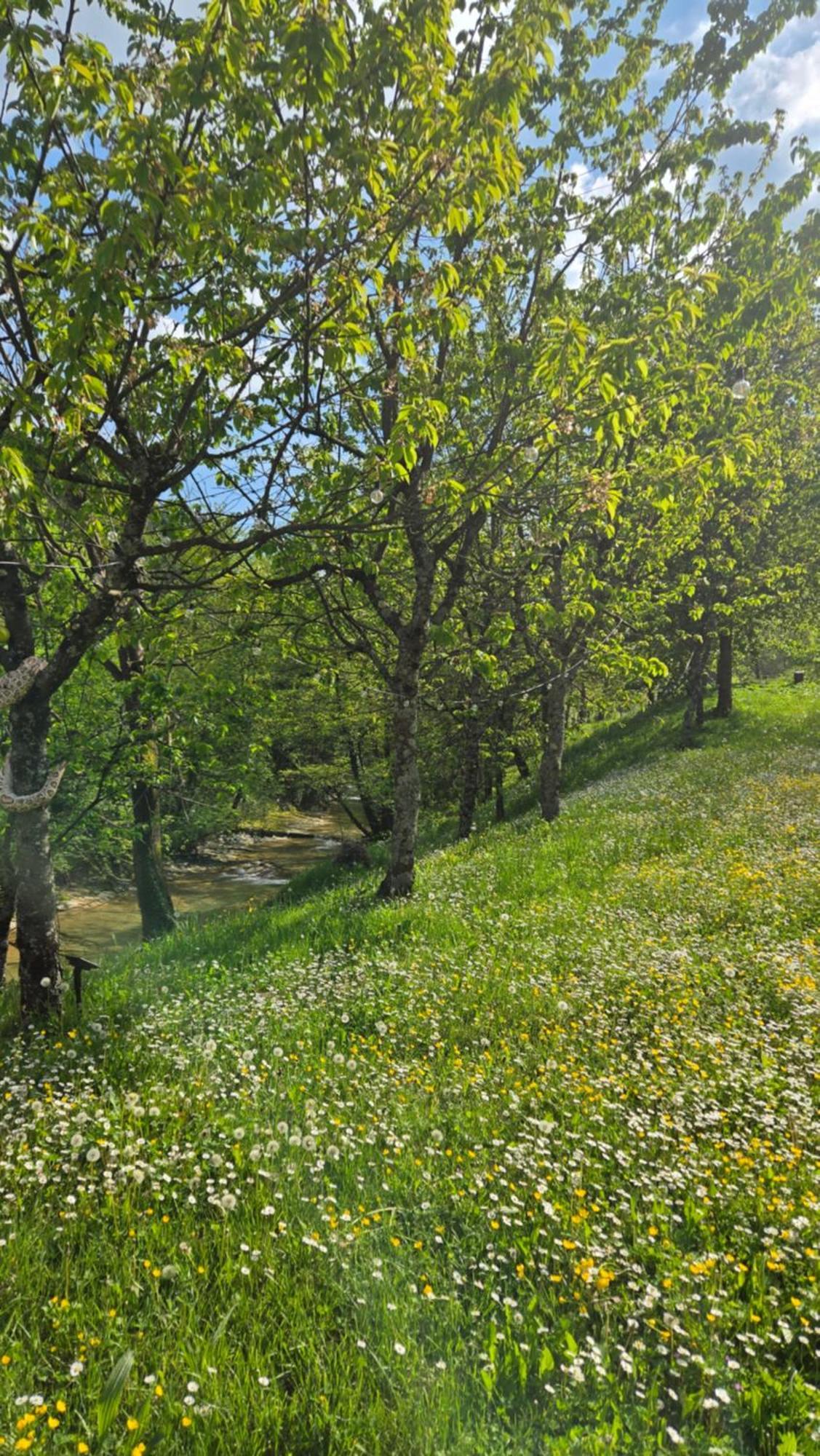 Borgo Corniola B&B Naturista 马拉迪 外观 照片