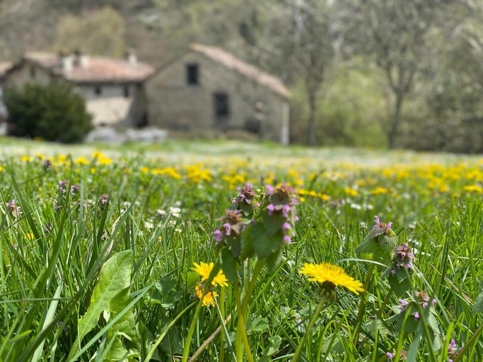 Borgo Corniola B&B Naturista 马拉迪 外观 照片