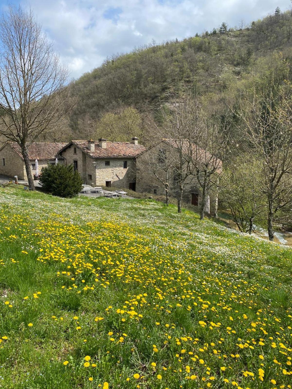 Borgo Corniola B&B Naturista 马拉迪 外观 照片