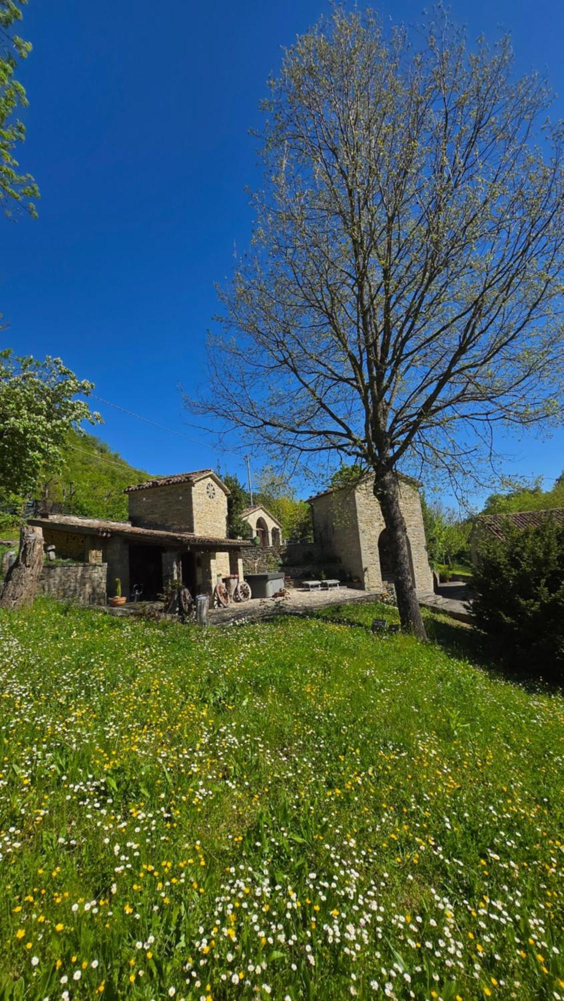 Borgo Corniola B&B Naturista 马拉迪 外观 照片